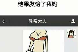 逊克资产调查